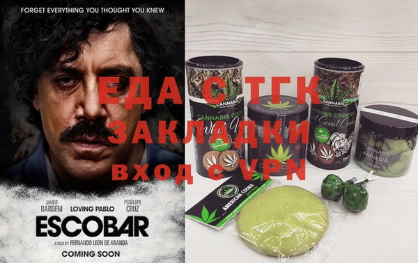 мдпв Гусь-Хрустальный