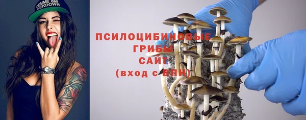 мдпв Гусь-Хрустальный