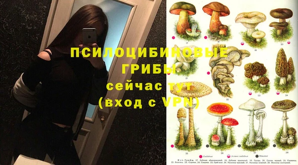 прущий лед Гусиноозёрск