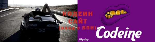 мдпв Гусь-Хрустальный