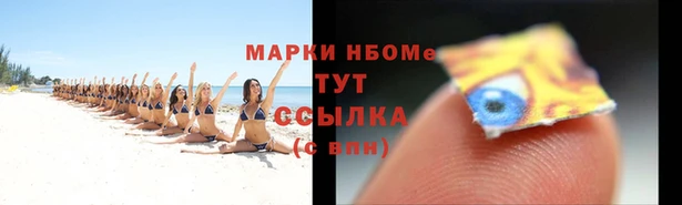 мдпв Гусь-Хрустальный