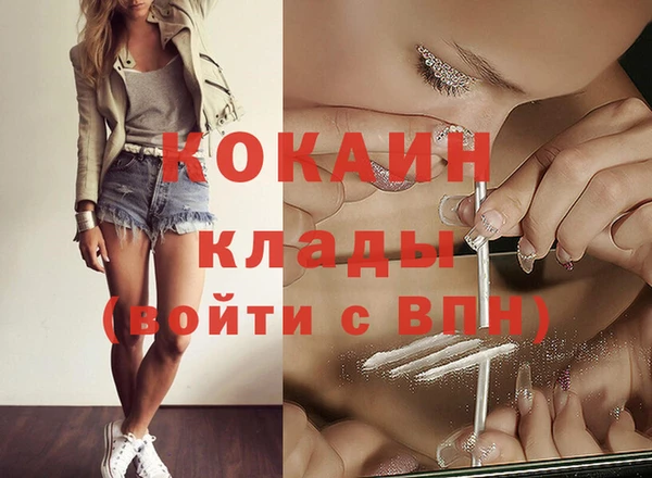 мдпв Гусь-Хрустальный