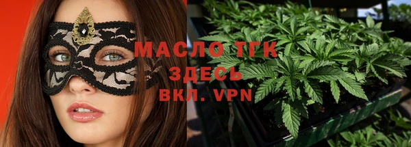 мдпв Гусь-Хрустальный