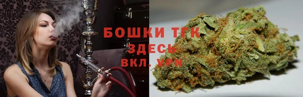 мдпв Гусь-Хрустальный